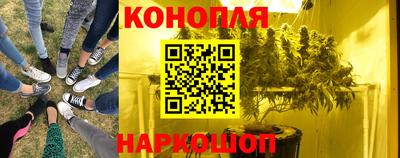 дживик Бийск