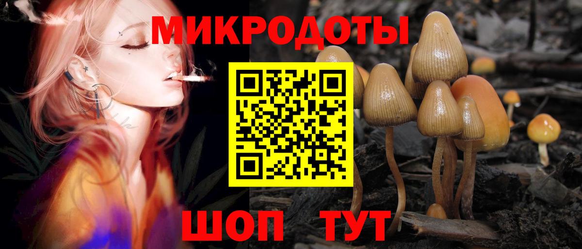 Галлюциногенные грибы прущие грибы Каменка